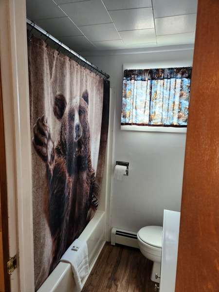 Double 2 Full Beds Photo 3