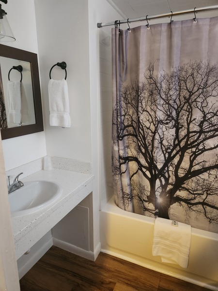 Double 2 Full Beds Photo 10