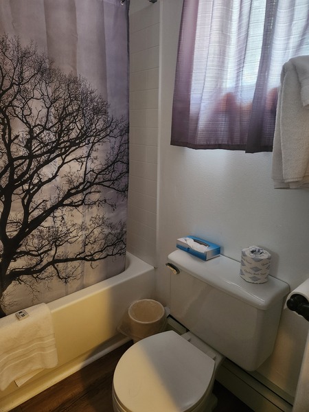 Double 2 Full Beds Photo 9